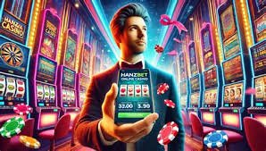 333bet27